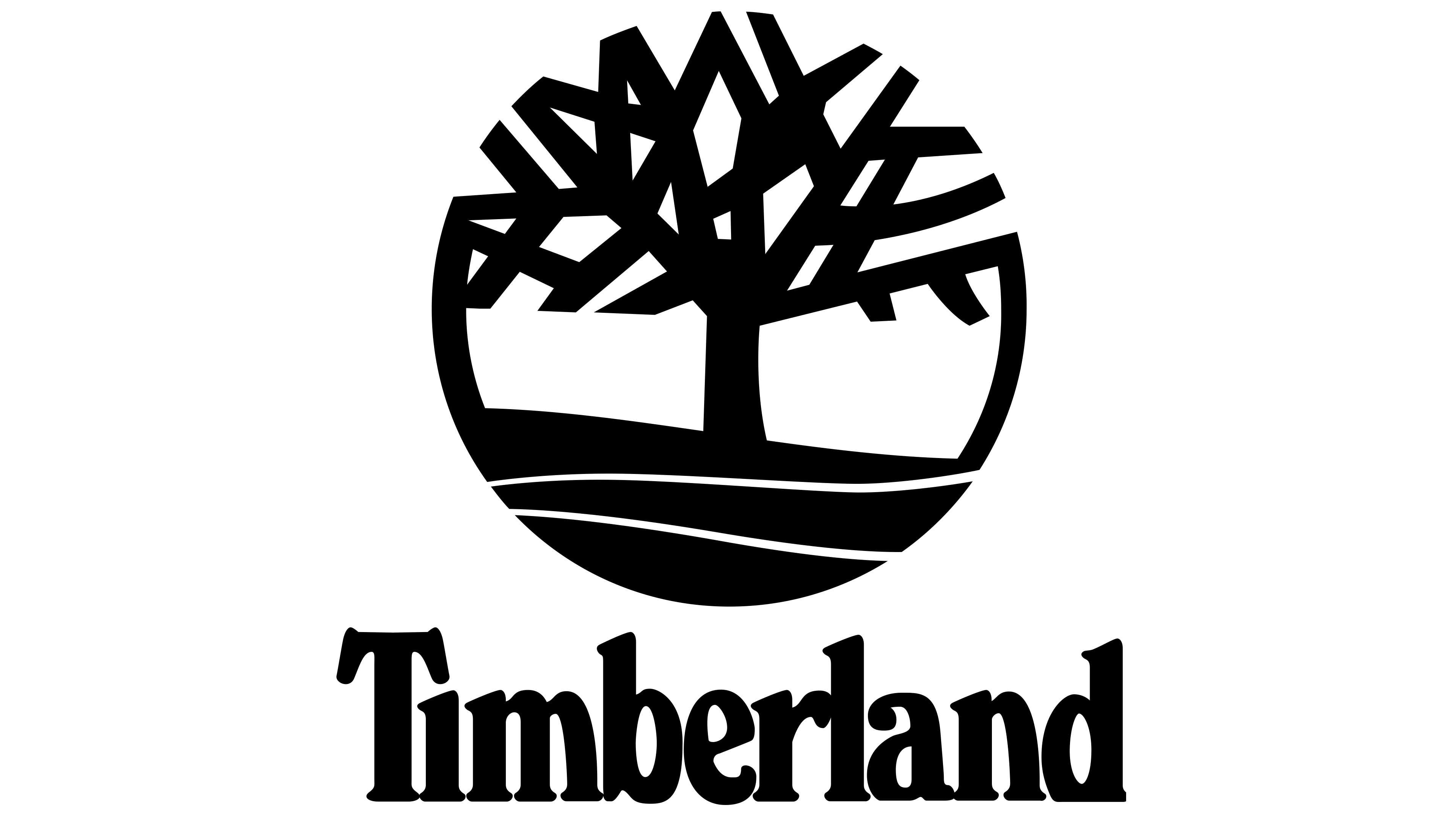 Customers Reviews about Timberland