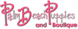 Palm Beach Puppies