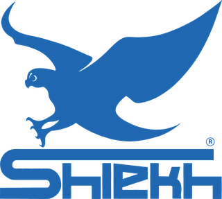 Shiekh Shoes