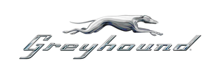 Customers Reviews about Greyhound